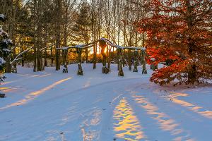 Grounds For Sculpture To Remain Open This Winter With Reduced Admission Image