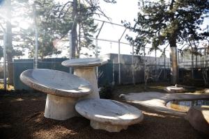 Denver Public Art Presents Newest Addition 'On The Rise' At Denver Zoo Image
