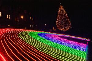 Edinburgh's Christmas Lights Up The Capital To Thank Key Workers Image