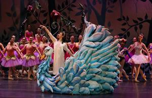 New Ballet Brings THE SAN JOSE NUTCRACKER Home For The Holidays 
