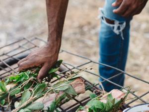 Adelaide Festival Ngarku'adlu - Let's Eat Image