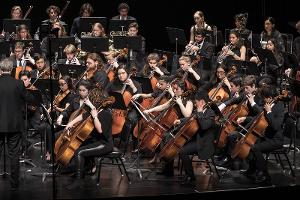 Santa Barbara Youth Symphony Concerto Competition Is Now Open For Auditions Image