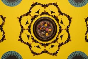 Staten Island Museum To Receive Grant From The National Endowment For The Arts Image