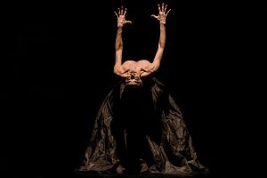Sydney Choreographic Centre Announced Image