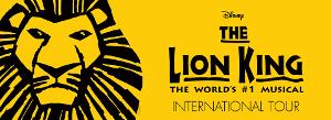 THE LION KING Premieres In Auckland This June Image