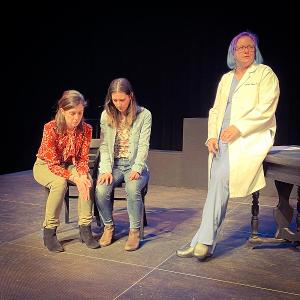 The Warner Theatre to Present MOTHERHOOD As Part of International Playwrights Festival Virtual Edition Image