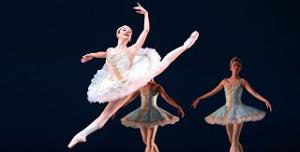 Dutch National Ballet Presents Livestream Spring Special On Easter Monday  Image