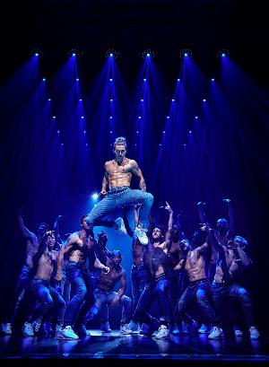 MAGIC MIKE LIVE Comes to Brisbane Image