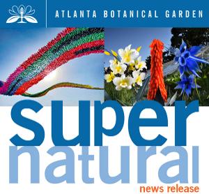 Garden Presents SUPERnatural Sculpture Exhibit This Spring! 