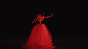 Ballet Idaho Releases NEWDANCE! Image