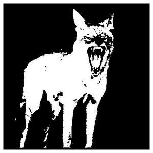 Wattis Institute Capp Street Artist-in-Residence Raven Chacon Launches Radio Coyote Image