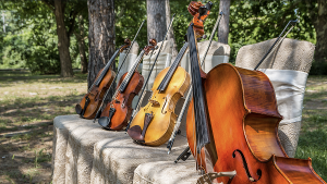 Savannah Philharmonic To Perform Family Friendly Concert in June Image