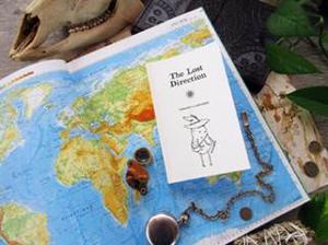 THE LOST DIRECTION By Timothy S. Boucher to Be Sold Using Cryptocurrency Image
