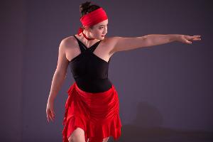 North Shore Civic Ballet's Summer Auction Announced Image