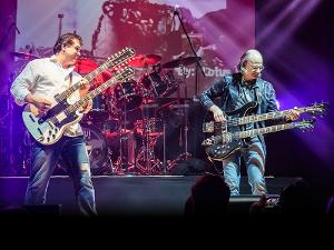 The American Rush Tribute: Lotus Land Comes to NJPAC October 9  Image