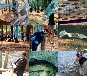 OCEAN OF RIVERS Free Event Announced In Ipswich This Saturday Image