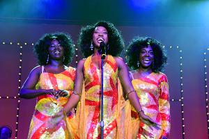 BEEHIVE: THE 60s MUSICAL Opens At Broadway Palm 
