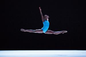 Ballerina Michaela Deprince To Chair Discussion On Inclusivity & Breaking Barriers In Ballet  Image