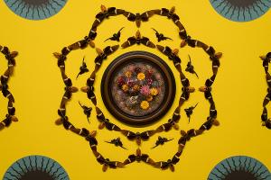 MAGICICADA, New Exhibition Of Insect Based Art, to Open At The SI Museum  Image