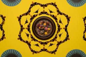 MAGICICADA, New Exhibition Of Insect Based Art, to Open At The SI Museum Image