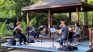 The Charlotte Symphony Orchestra's Al Fresco Concerts Return This Summer Image
