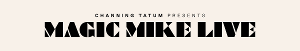 MAGIC MIKE LIVE Performances Postponed in Melbourne Image