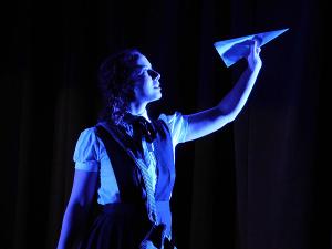 Gulfshore Playhouse Seeks Local Actors For REMEMBER: THE STORY OF ABE PRINCE Image