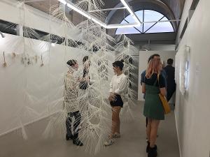 SALA Festival Will Kick Off Beginning This Weekend Image