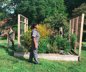 Judy Dworin Performance Project To Present EMERGENCE At Harriet Beecher Stowe Center Image