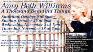 Amy Beth Williams Reprises A THOUSAND BEAUTIFUL THINGS at Don't Tell Mama  Image