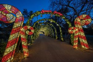 HOLIDAY ROAD Expands To Two Additional Markets For The First Time Ever This Season Image