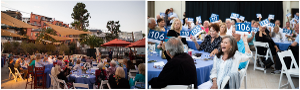 Catalina Museum Raises Nearly $500,000 at The Art Of A Rose Fundraising Extravaganza  Image