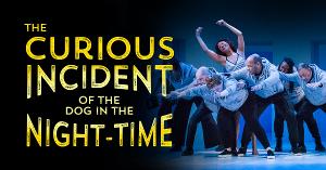 THE CURIOUS INCIDENT OF THE DOG IN THE NIGHT-TIME Begins November 27 At PCS Image
