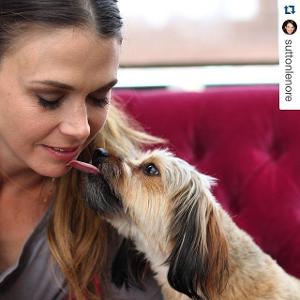 Sutton Foster Will Support Two Initiatives to Help Shelter Animals in Need  Image