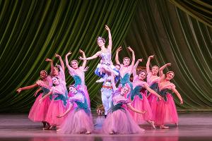 Nashville Ballet To Partner With Local Arts Organizations For NASHVILLE'S NUTCRACKER  Image