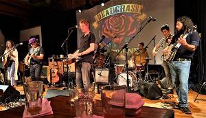 Deadgrass To Play Two Shows At The Milford Arts Council In 2022 Image