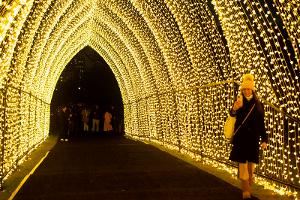 LIGHTSCAPE At Brooklyn Botanic Garden Open For The Holidays 