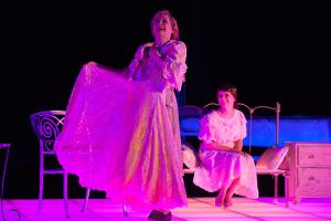 Tennessee Shakespeare Company Presents BLUE ROSES OF TENNESSEE WILLIAMS at Southern Literary Salon Image