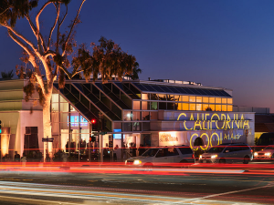 Laguna Art Museum Announces The 40th Annual California Cool Art Auction 