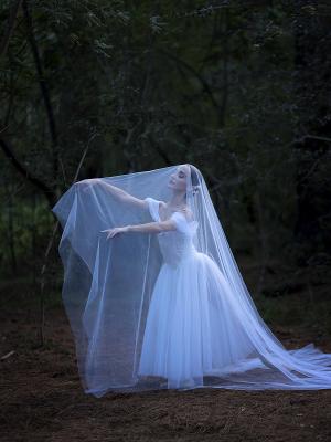 Cape Town City Ballet Presents Maina Gielgud's GISELLE  Image