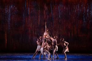 Bangarra Dance Theatre And American Express Announce New Partnership Image