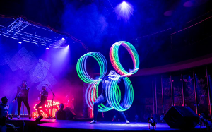 Assembly Festival Garden Returns Next Week Image