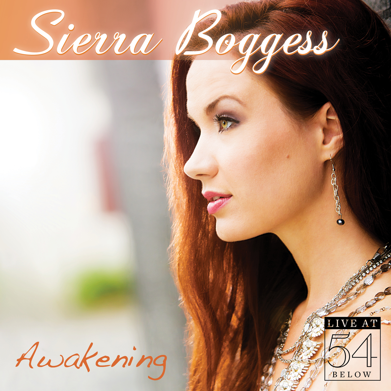 Awakening: Live at 54 BELOW - Sierra Boggess Album