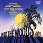 Into The Woods Vinyl Album Cover Art