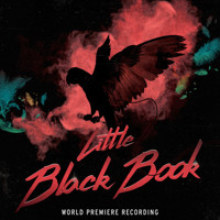 Little Black Book (World Premiere Recording) Upcoming Broadway CD