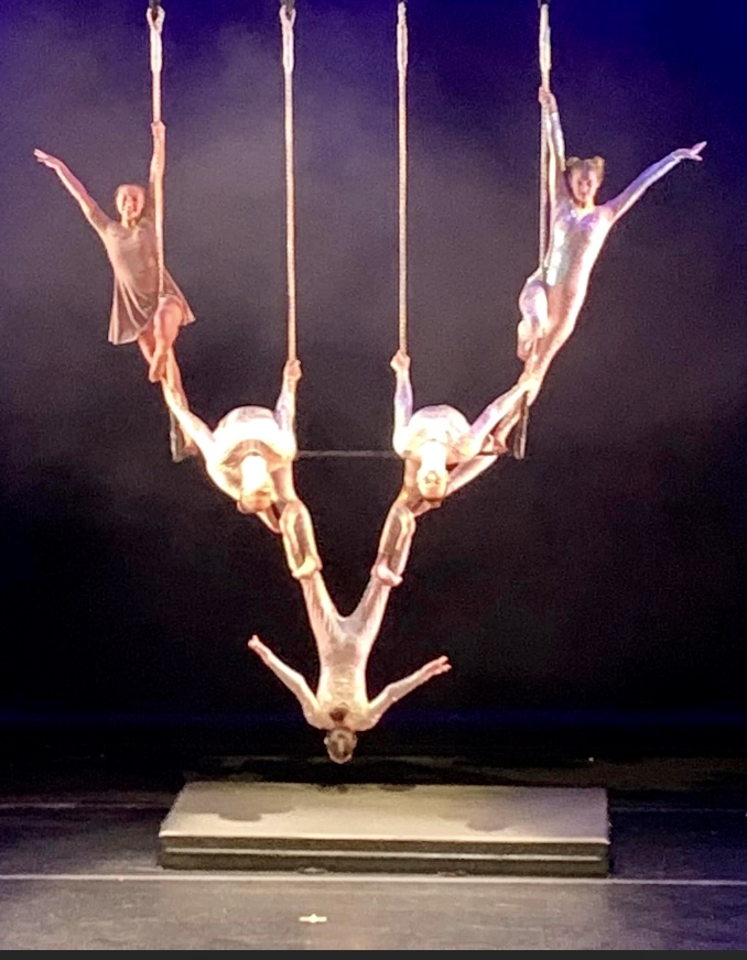 Florida Aerial Dance & Circus Arts