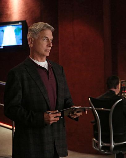 Mark Harmon Headshot