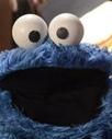 Cookie Monster Headshot
