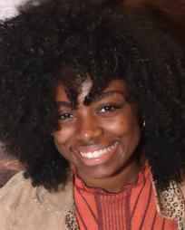 Meet the Cast of THE WIZ, Beginning Previews Tonight on Broadway Image