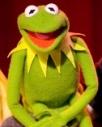 Kermit the Frog Headshot